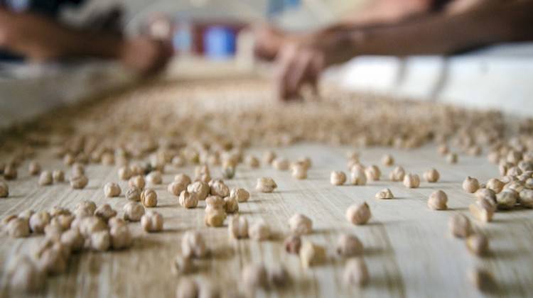 Nohut Ramazanda el yakacak