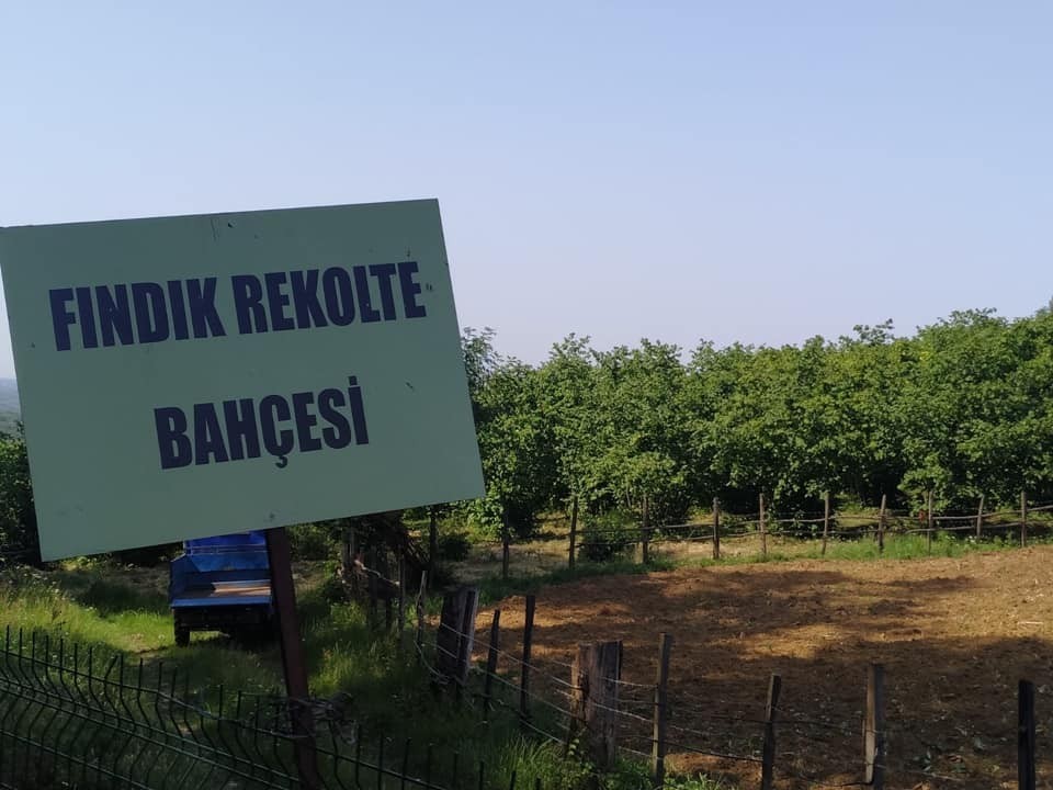 Normalleşme sürecinde çiftçiye destek 
