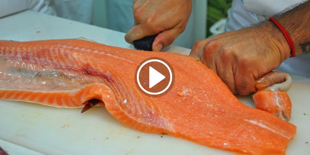 Norveç somonu diye bizi yemişler!