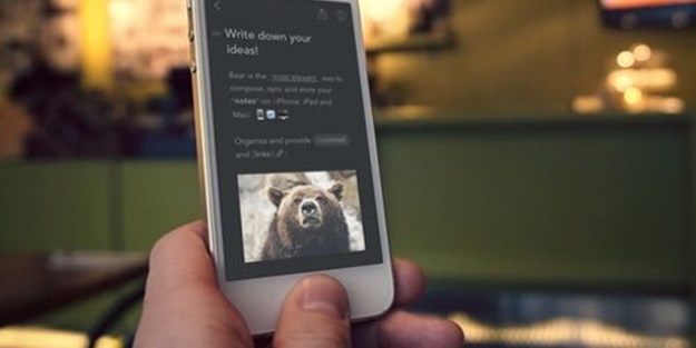 Not almanın yeni adı: Bear