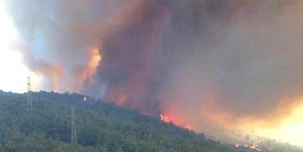 Nükleer santral yakınında orman yangını!