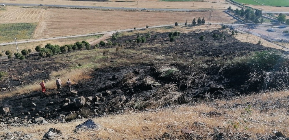Nurdağı’nda orman yangını 