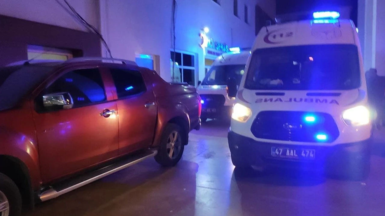 Nusaybin'de av tüfeği kazası