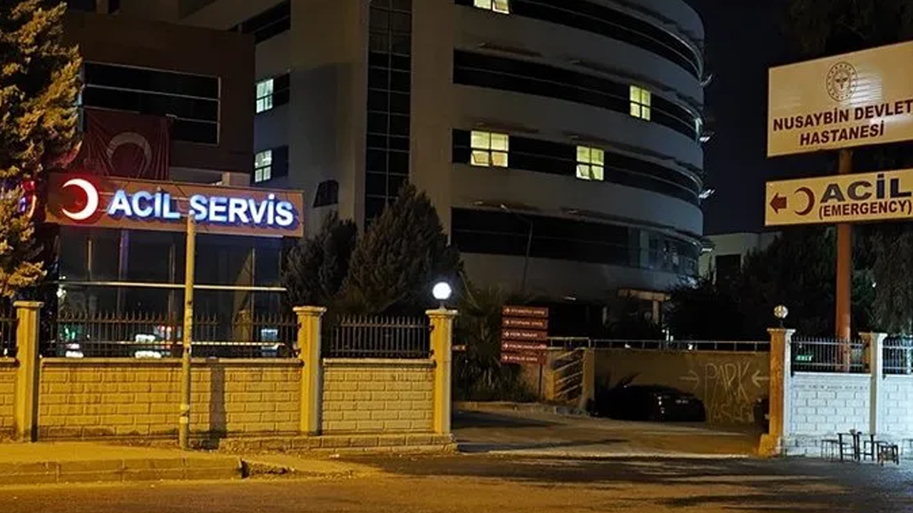 Nusaybin’de otomobilin çarptığı 2 çocuk...