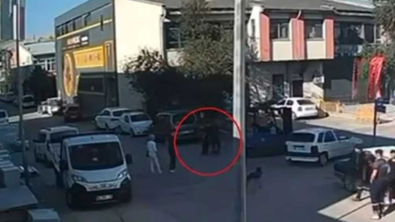 O alman kurdu köpeğin sahibi hakkında karar çıktı