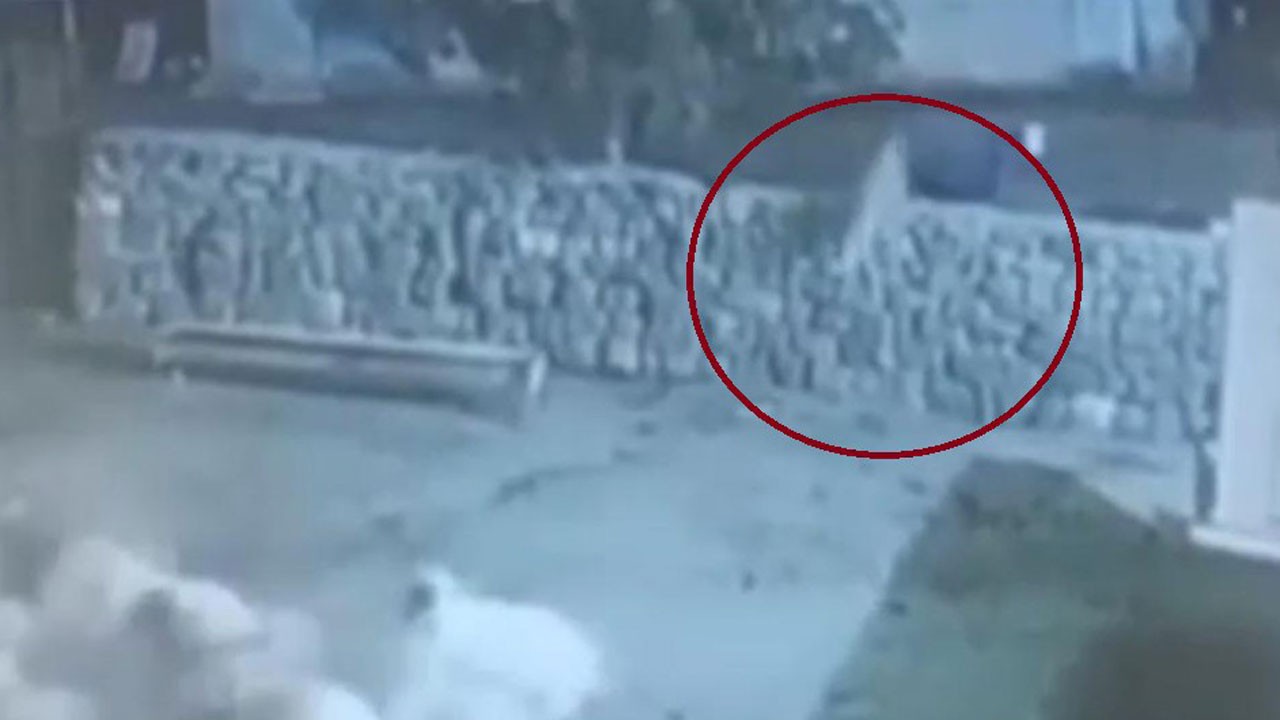 O anlar böyle kaydedildi! Bakın akıllı koyun kurttan nasıl kurtuldu