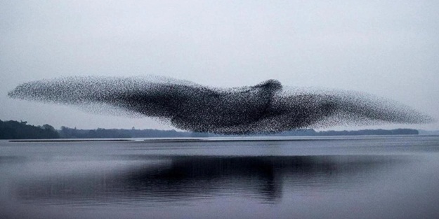 O anlar için 5 gün bekledi! Akıllara Mülk Suresi geldi