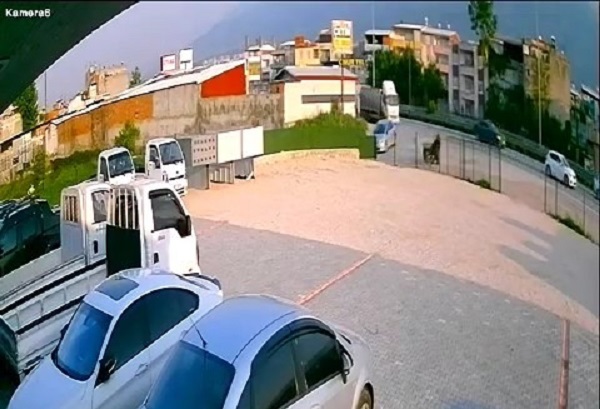 O anlar kameralara yansıdı! Başıboş at böyle kaza yaptı