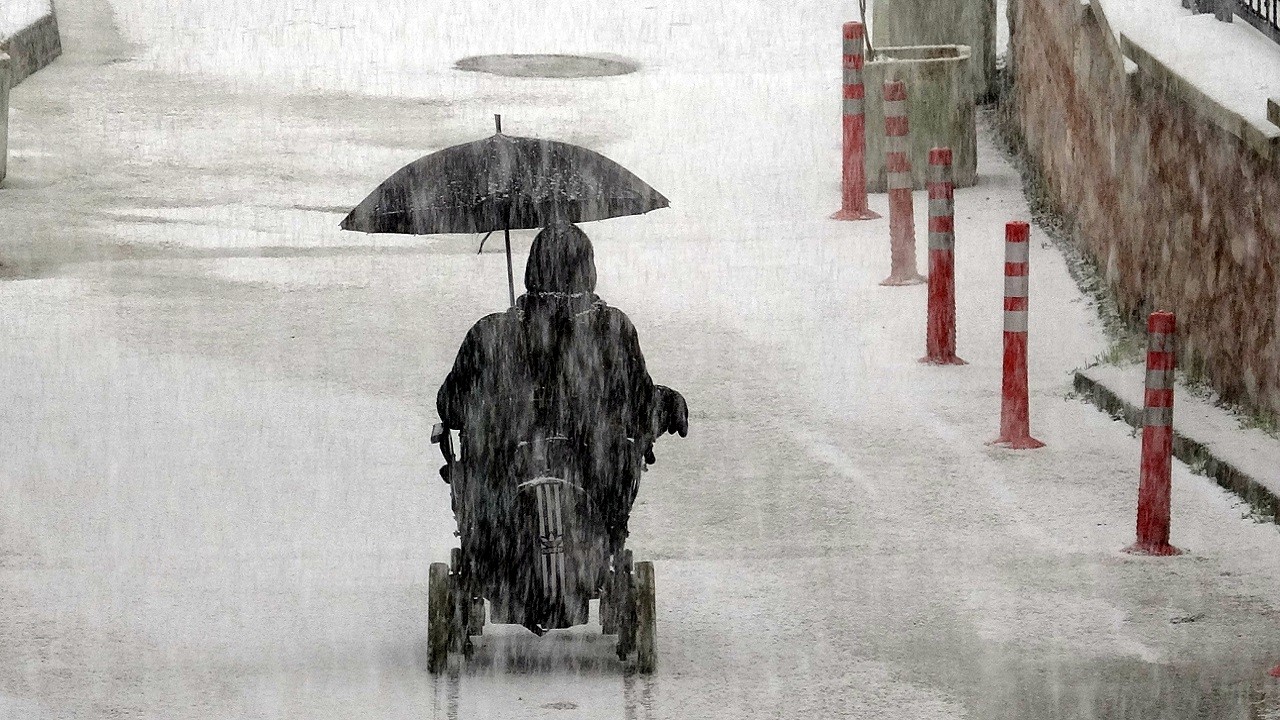 O anlar kameraya yansıdı! Kar altında hayat mücadelesi