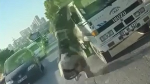 O anlar kaydedildi! Boğa kamyonetten düş