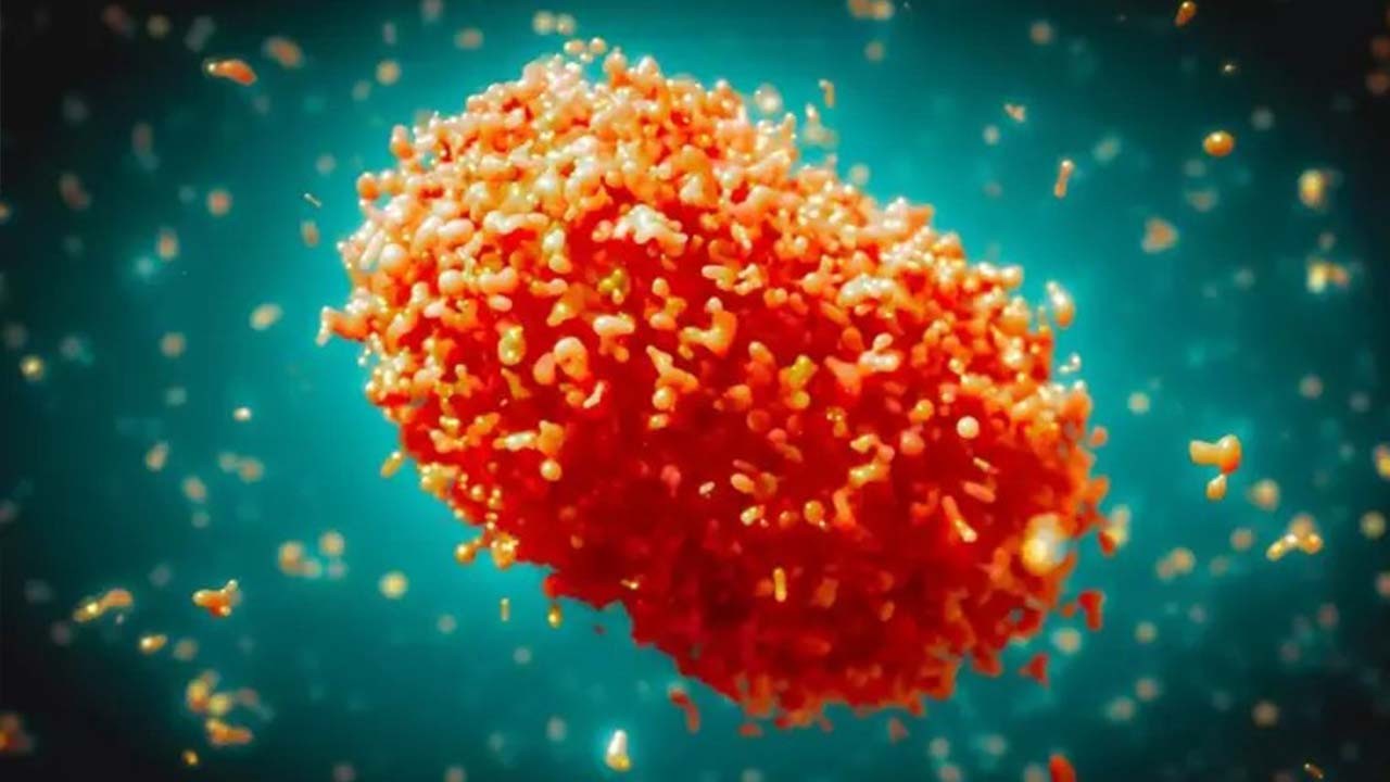 O Avrupa ülkesi korku içinde! Maymun çiçeği virüsünün yeni varyantı ilk kez görüldü