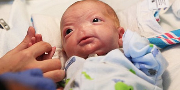 O ayıbı Facebook'un burnundan getirdiler