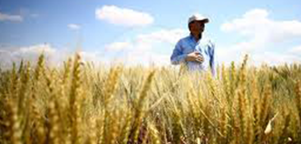 O bakandan ‘açlık’ uyarısı: Şiddetli derecede açlık yaşanabilir