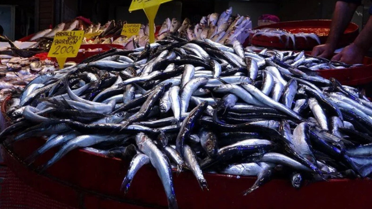 O balıkta en verimli sezon! Vatandaş bayram ediyor