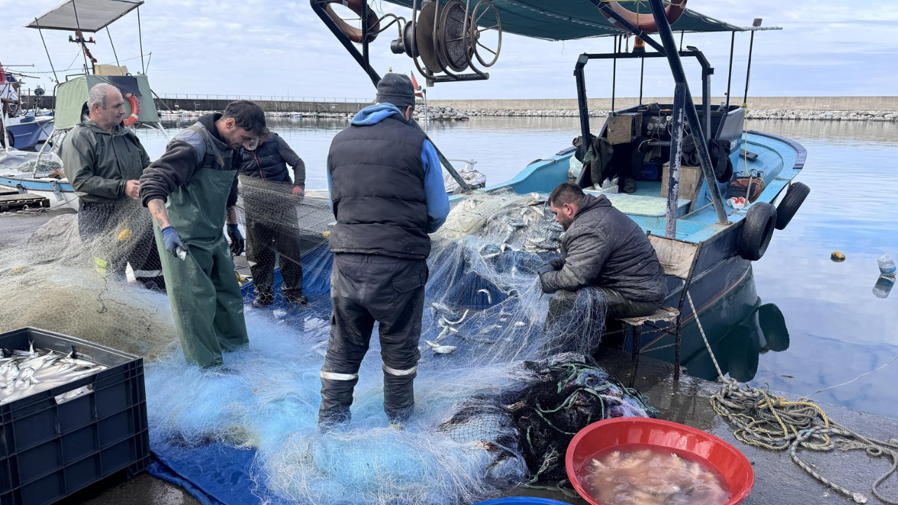 O balıktan 2 ton yakaladılar… Kilosu 350 liradan satılıyor!