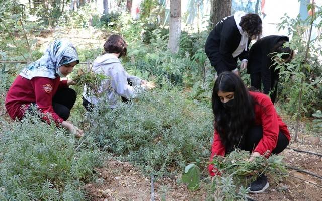 O botanik bahçesi bilim dünyasının gündeminde