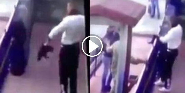 O cani hakkında karar verildi