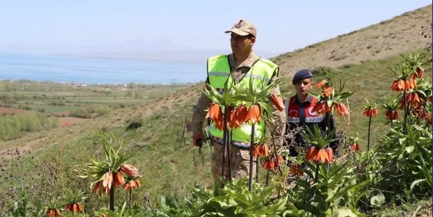 O çiçek için Jandarmalar 7/24 nöbette!