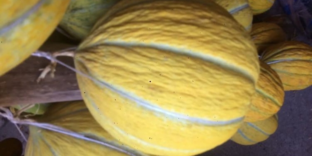 O dünyanın en pahalı meyvesi!