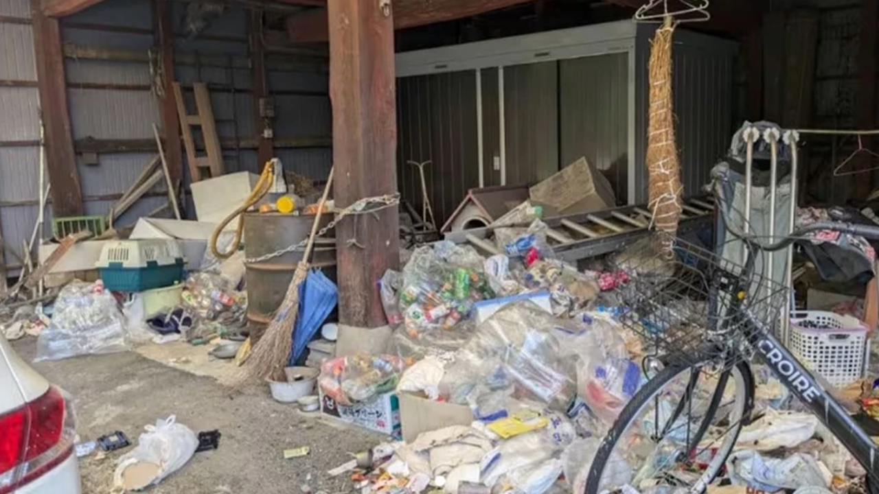 O evde 100'den fazla ölü kedi bulundu!