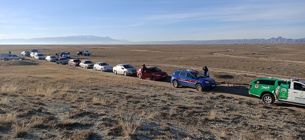 O hainler köpekleri bile kumara alet ediyorlardı! Bakan Yerlikaya: Gerekli cezayı yüce Türk adaleti vermeye devam edecek!