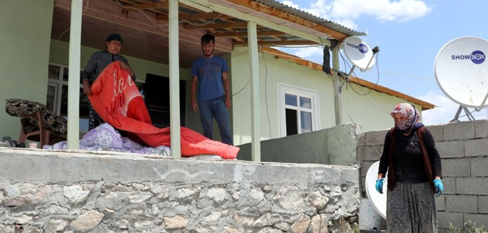 O hayvanlar mahalleyi istila etti!Halk geceleri uyuyamıyor