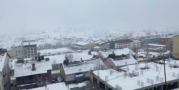 O ilçede kuduz paniği! Bölge karantinaya alındı