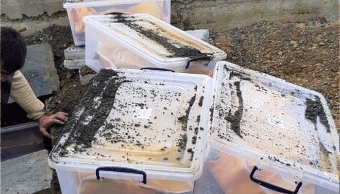 O ilde gizli mezarlık keşfedildi! Tüm cesetler çıkarıldı