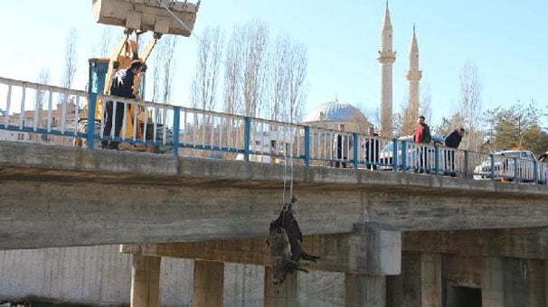 O ilde şok görüntü! Böyle çıkardılar...