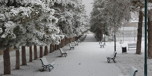 O ilimiz beyaza büründü! Herkes kar sandı ama gerçek bambaşka çıktı