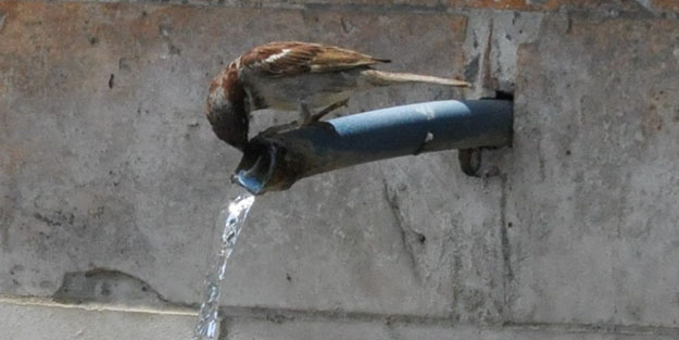 O ilimiz kavruldu! 94 yılın en sıcak gününü yaşadılar