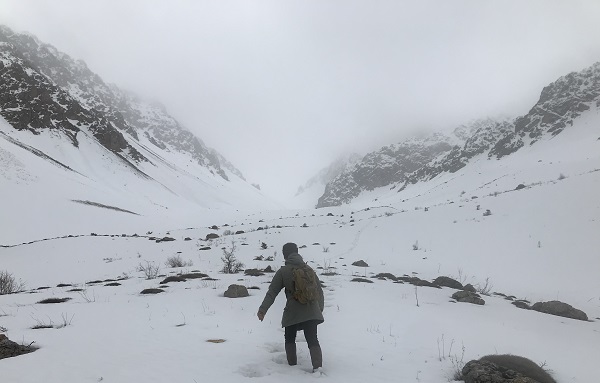 O ilimiz mayıs ayında beyaza büründü