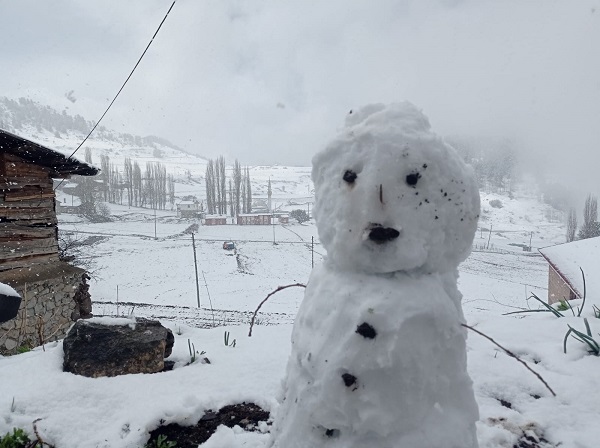 O ilimiz mayıs ayında beyaza büründü
