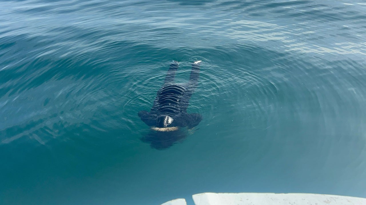 O ilimizde denizde erkek cesedi bulundu