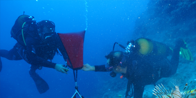 O ilimizde 'dünyanın en eski batığı'nda yeni buluntulara ulaşıldı! Kimse bunu beklemiyordu...