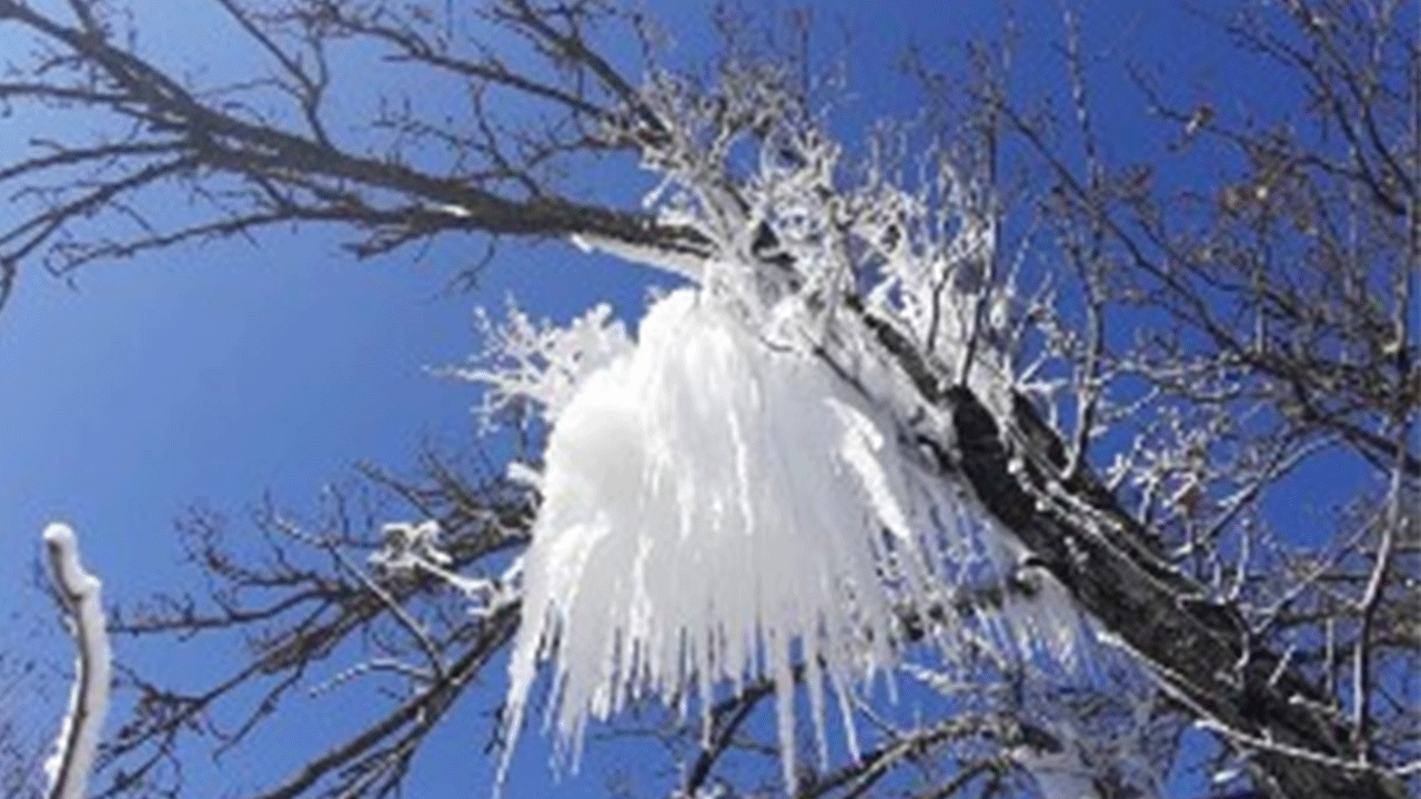 O ilimizde hava eksi 16'yı gördü, ağaçlar dondu!