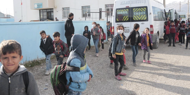 O ilimizde kuduz köpek paniği!