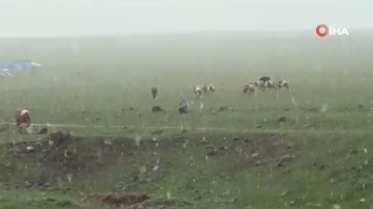 O ilimizde Mayıs ayında kar yağdı