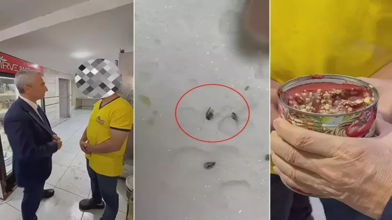 O ilimizde mide bulandıran görüntüler! Tuzdaki böceğe “çörek otu” dedi, belediye başkanı resmen çıldırdı