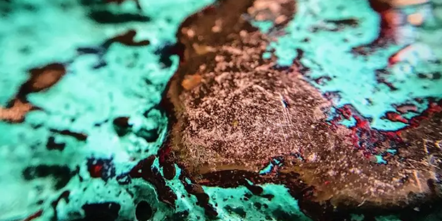 O ilimizde Türkiye'yi zengin edecek rezerv var! O rezerv için dünya birbirini yemeye başladı