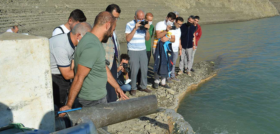 O ilimizdeki gölet ve barajlara bir milyon 486 bin pullu sazan bırakıldı