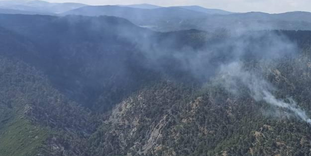 O ilimizden çıkan yangın... İlçedeki herkesi korku sardı: Resmen ormanlık alan zarar gördü!