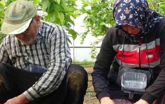 O ilimizden çıkıyor, tüm dünya yana yakıla bunu arıyor! Resmen yok satıyor! Dubai, Irak, Rusya resmen havada kapıyor