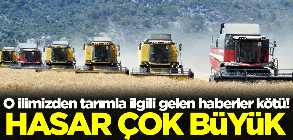 O ilimizden tarımla ilgili gelen haberler kötü! Hasar çok büyük