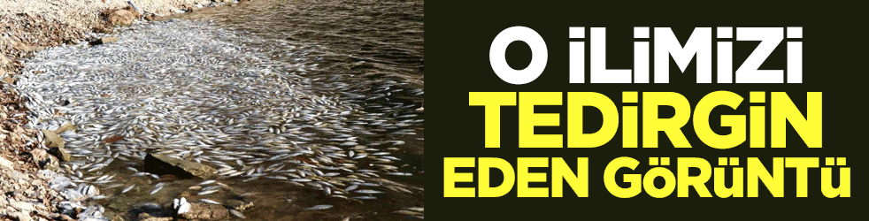 O ilimizi tedirgin eden görüntü! Hemen harekete geçildi