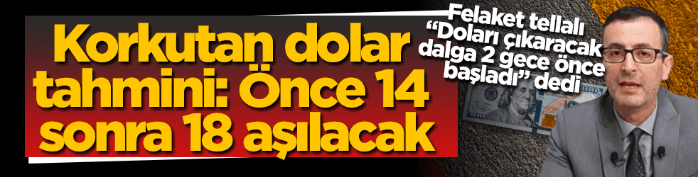 O isim yine piyasaya çıktı! Dolar o tarihte 18'i görecek