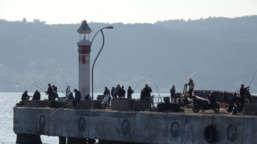 O iskele koronavirüs sebebiyle kapatıldı 