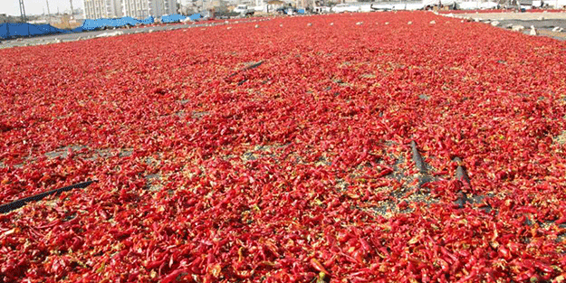 O köy kıpkırmızı oldu! Sebebi bakın ne çıktı