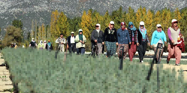 O mahalle geçim kaynağı oldu: Tüp tüp yapıp tüp tüp diziyoruz