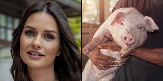 O oyuncu da 'domuz'cu çıktı!